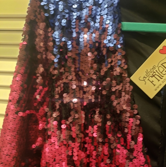 Southern Fried Chics. Sequin dress! GORG colors! Size XXL - Picture 6 of 6